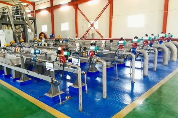 Creazione della linea di calibrazione flussimetri